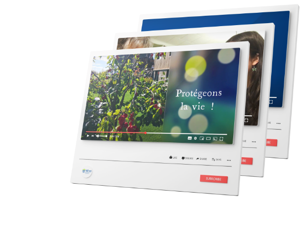 capsules solutions pour le Concours Génération égalité